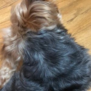 Meet your Posher, Elwin